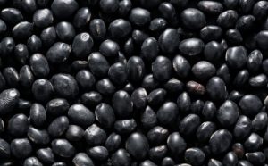 What Is The Difference Between Black Beans And Makhanas? 3 Black Beans