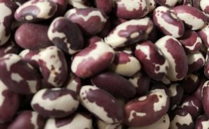 Difference Between Anasazi Beans and Pinto Beans 2 Anasazi beans
