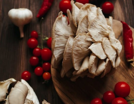 Difference Between Angel Wing And Oyster Mushrooms 1 Oyster Mushrooms Surrounded by Tomatoes