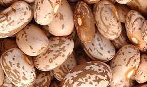 Difference Between Anasazi Beans and Pinto Beans 3 Pinto Beans