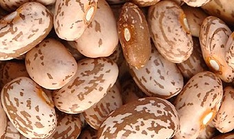 Pinto Beans
