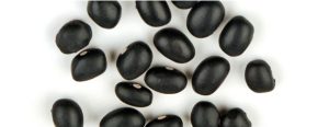 Differences Between Black Turtle Beans and Black Beans 3 Black Beans