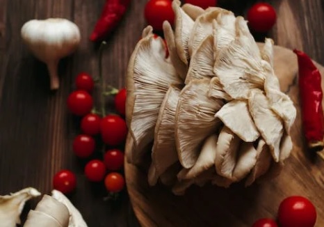 Difference Between Lentinellus Ursinus and Oyster Mushroom 1 Lentinellus Ursinus and Oyster Mushroom