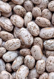 Are Pinto Beans High in Oxalates? A Comprehensive Answer 2 pinto beans