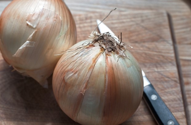 Vidalia Onions: A Keto-Friendly Delight for Healthy Eating 1 are-vidalia-onions-keto-friendly