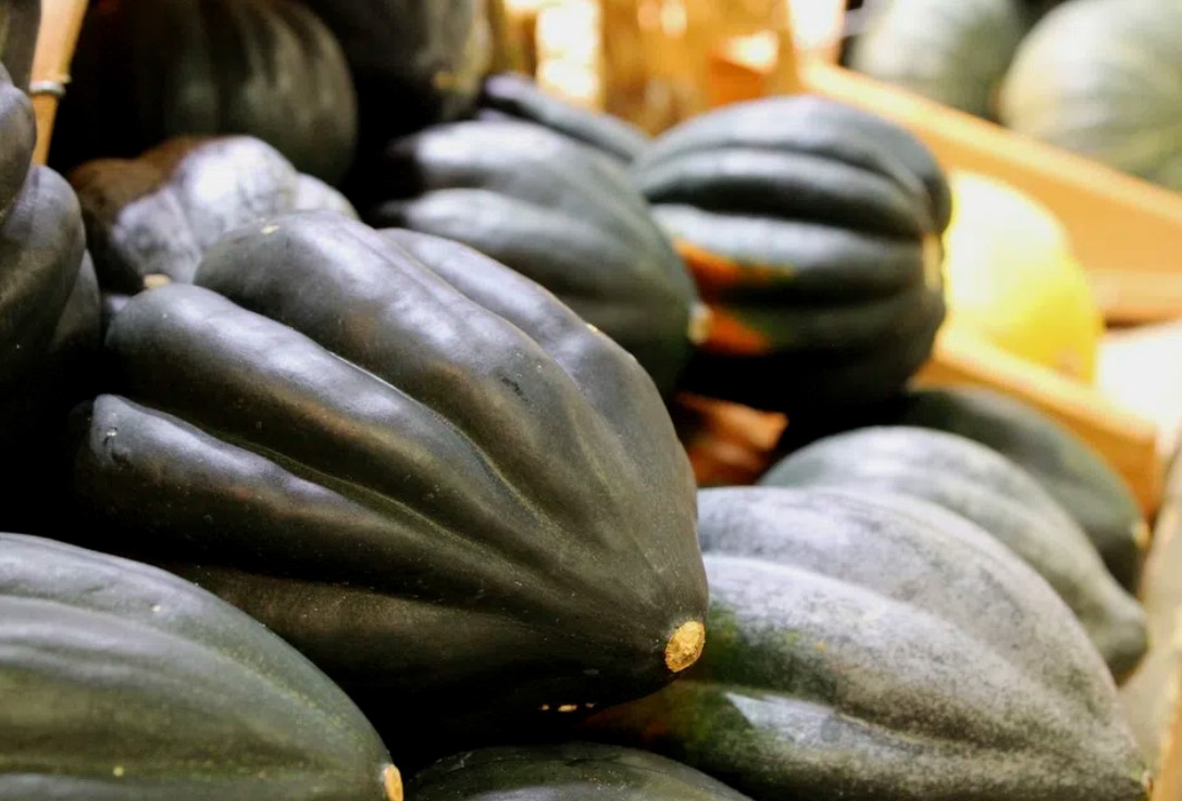 The Ultimate Guide to Acorn Squash: A Feast for the Palate and Body 1 The Ultimate Guide to Acorn Squash