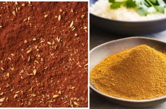 Difference Between Adobo and Cajun Seasoning