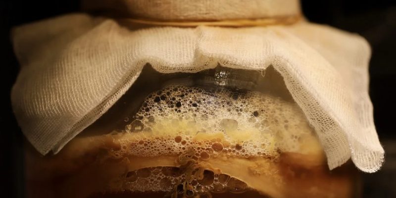 Unraveling the Mysteries: Mother of Vinegar vs. SCOBY