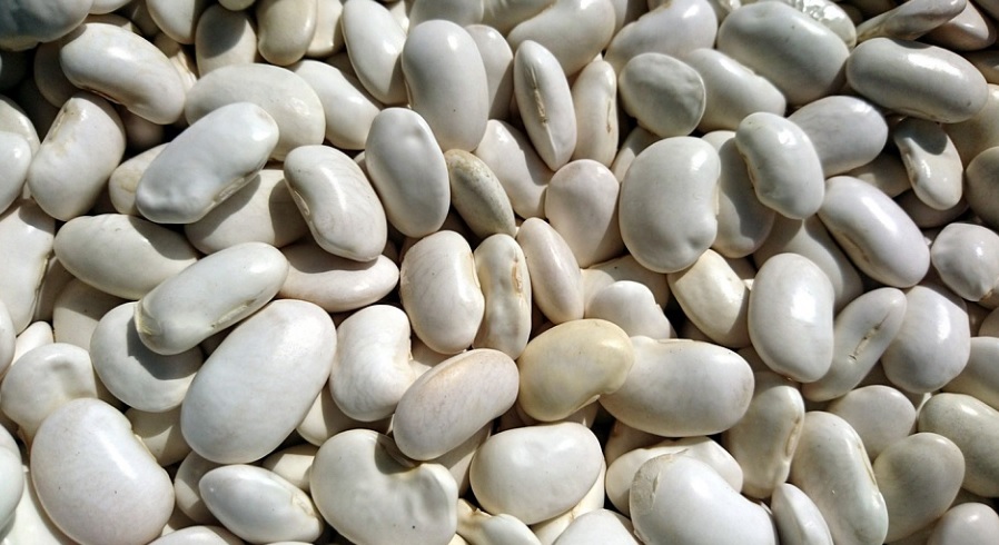 White beans