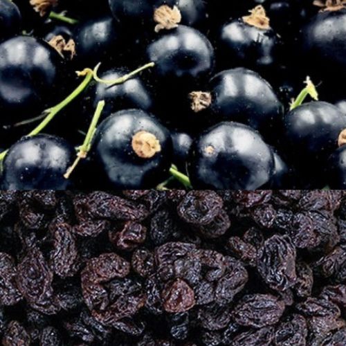 Are Zante Currants The Same As Blackcurrants