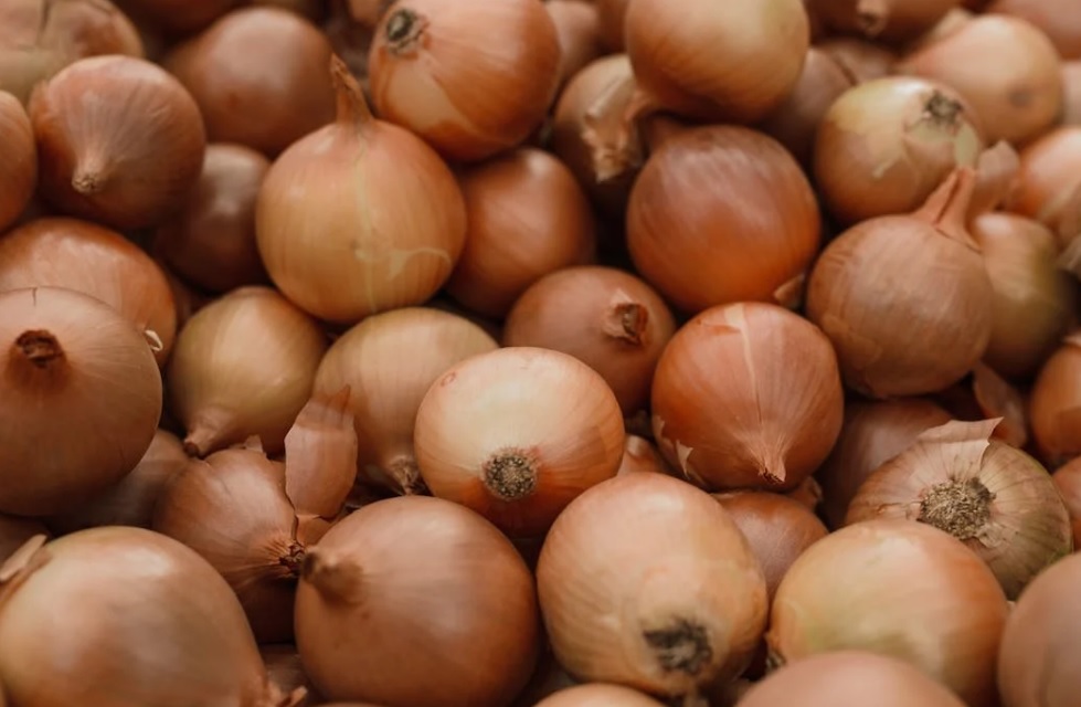 Difference Between Spanish Onion and Vidalia Onion