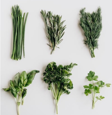 Six kinds of Herbs