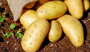 Potato for crock pot recipes