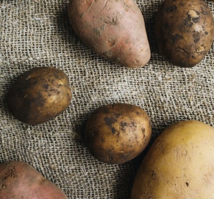 Potato types for crock pot