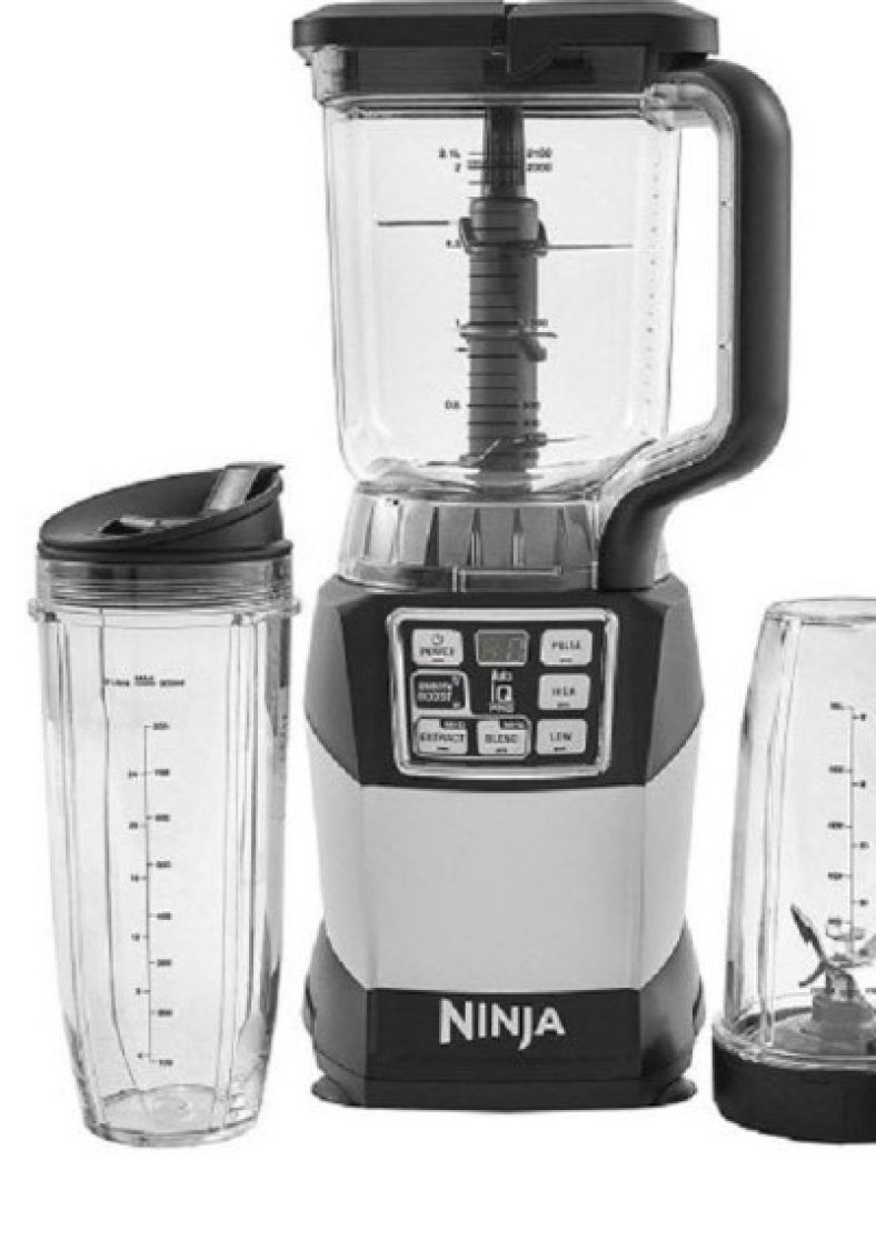 How To Make Chutney In Ninja Blender EAF