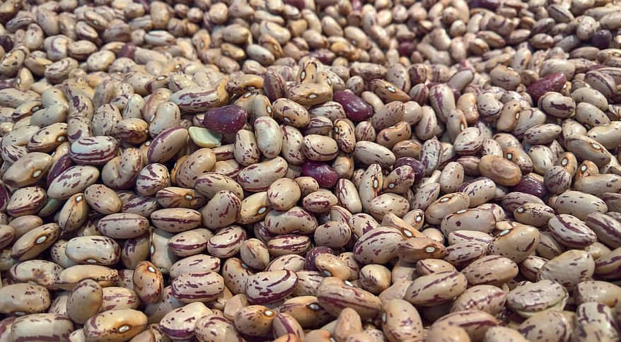 Difference Between Mayocoba Beans and Pinto Beans