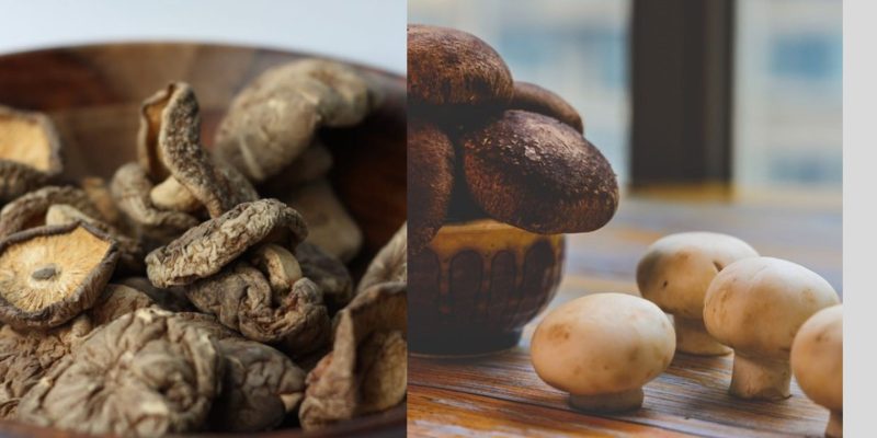 Blog layout 17 Difference Between Shiitake Mushroom vs Cremini