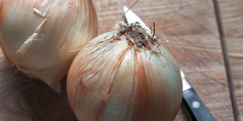Blog layout 19 Vidalia Onions: A Keto-Friendly Delight for Healthy Eating